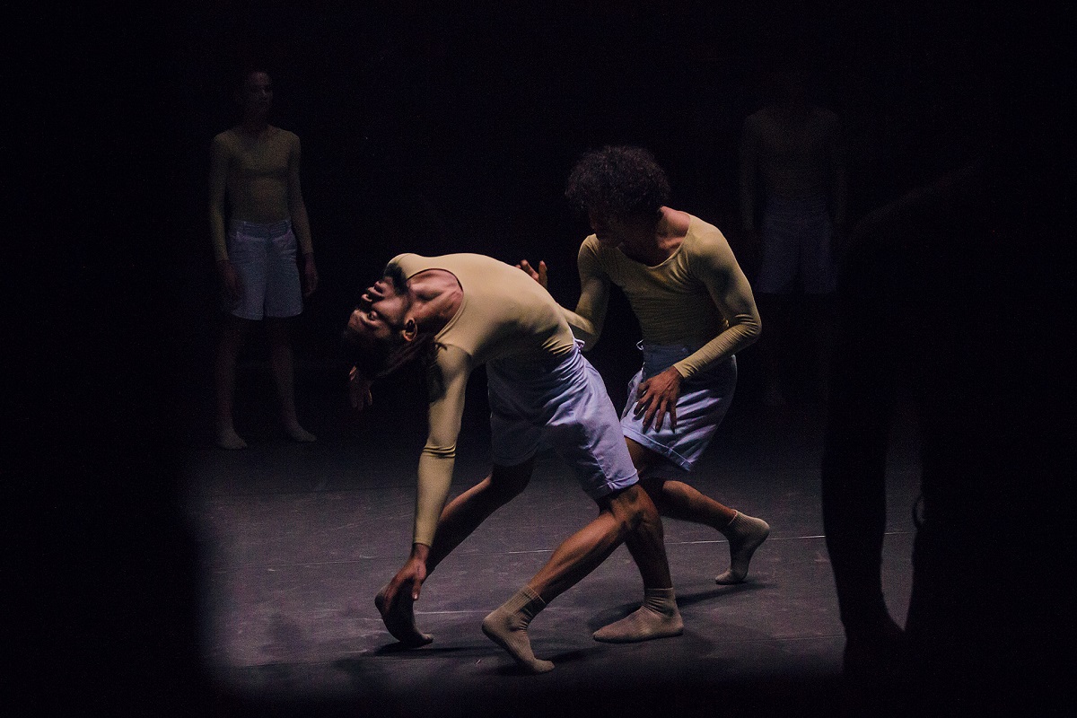 Raíces de Acosta Danza Raíces de Acosta Danza