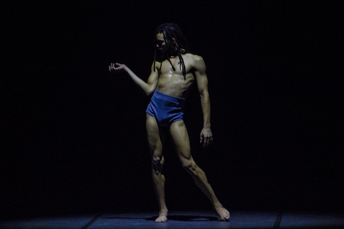 Raíces de Acosta Danza Raíces de Acosta Danza