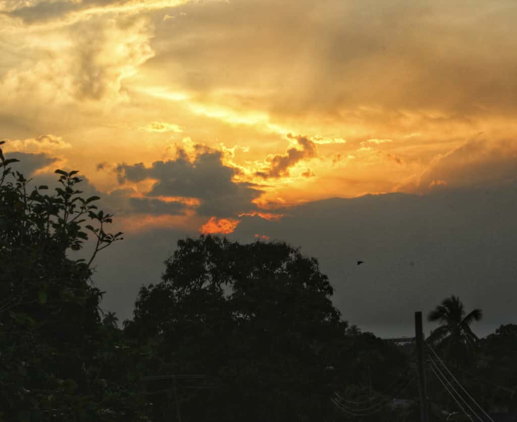 El año del avistamiento extraterrestre