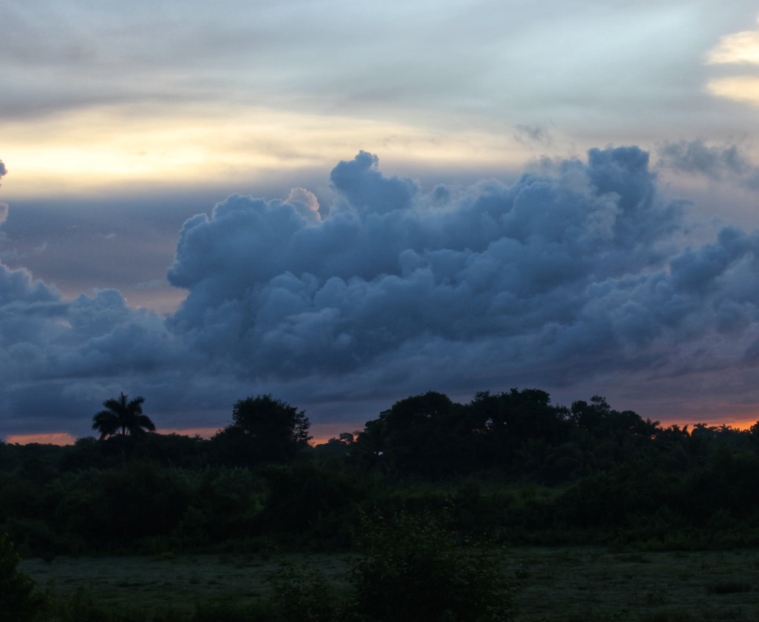 El año del avistamiento extraterrestre