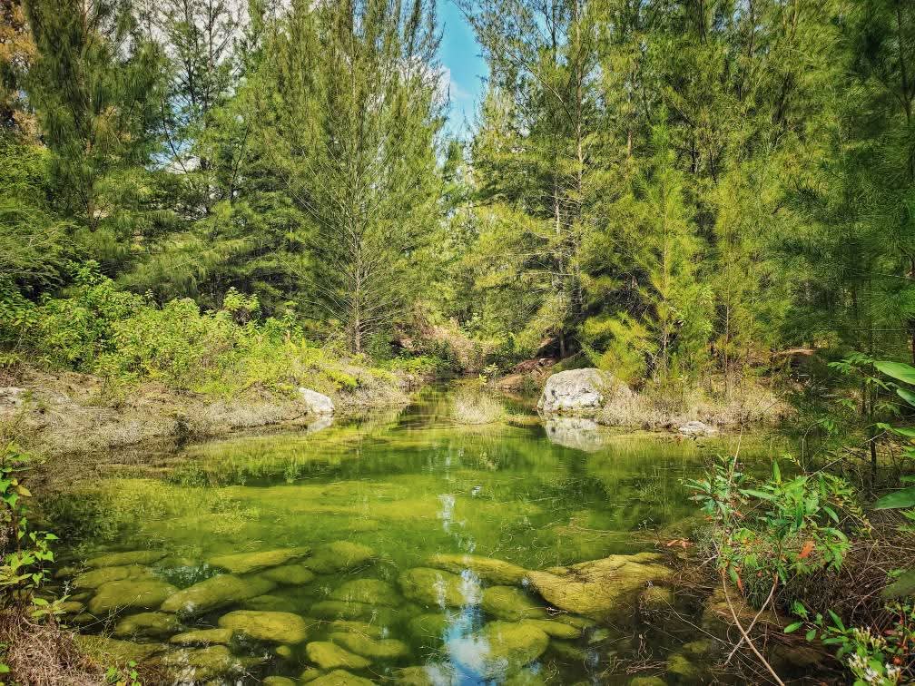 La teoría de la Tierra hueca