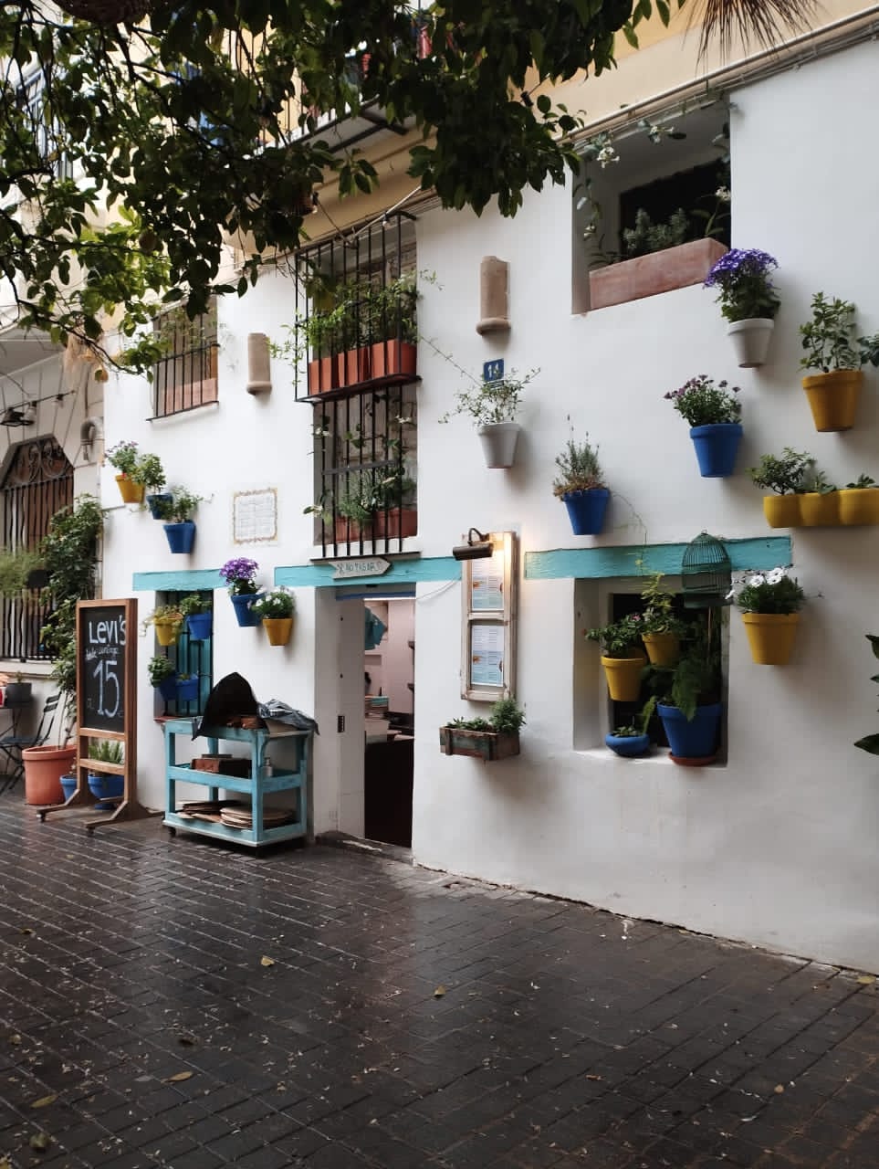 Una parada histórica durante las Fallas: la casa de José Martí en Valencia