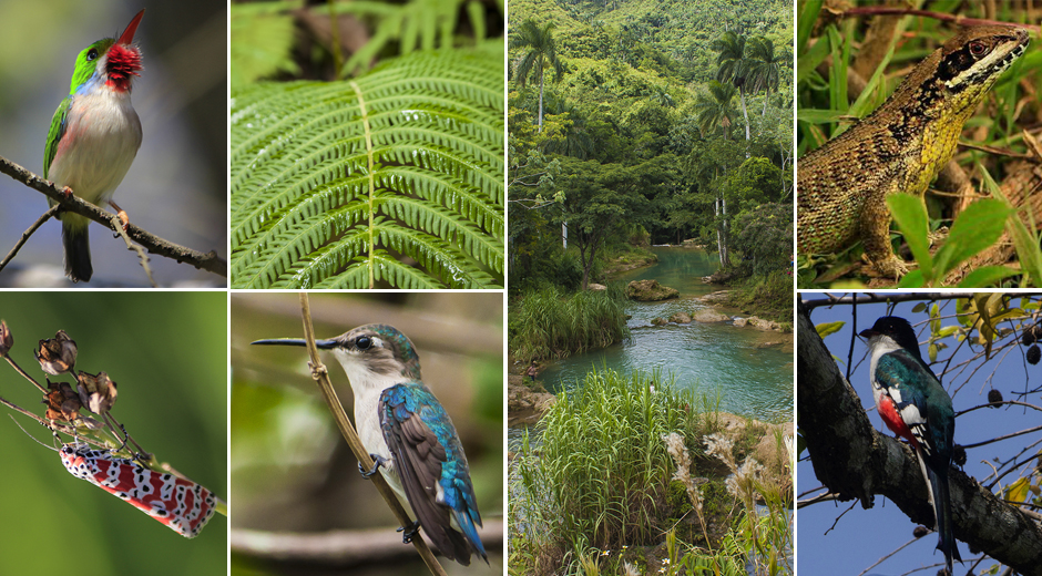 La conservación de la biodiversidad La conservación de la biodiversidad