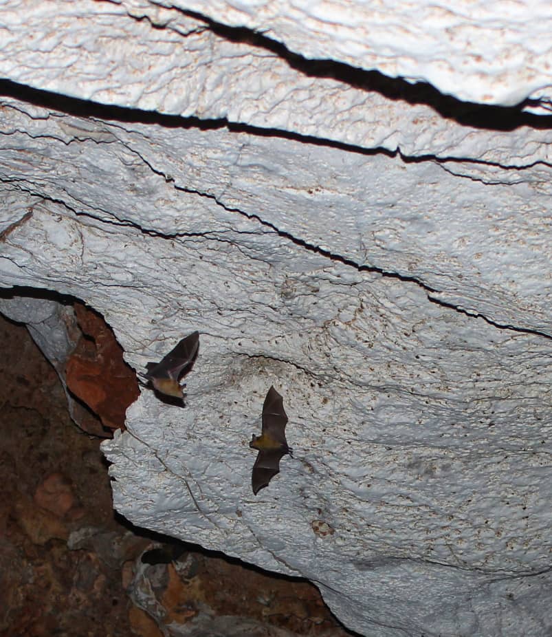 Los Mogotes de Jumagua: un mundo bajo la piedra (+Fotos) 	