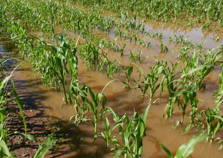 Inundaciones