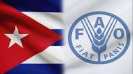 Cuba en la FAO
